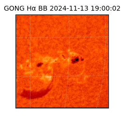 gong - 2024-11-13T19:00:02