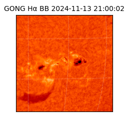 gong - 2024-11-13T21:00:02