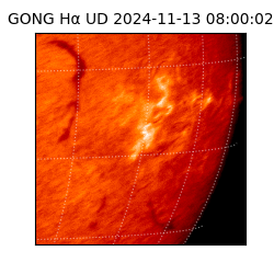 gong - 2024-11-13T08:00:02