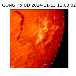 gong - 2024-11-13T11:00:02