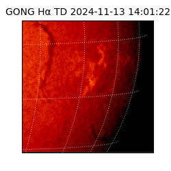 gong - 2024-11-13T14:01:22
