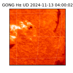 gong - 2024-11-13T04:00:02