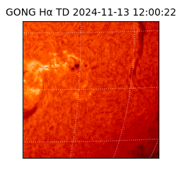 gong - 2024-11-13T12:00:22