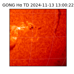 gong - 2024-11-13T13:00:22