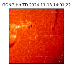 gong - 2024-11-13T14:01:22