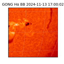 gong - 2024-11-13T17:00:02