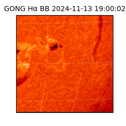 gong - 2024-11-13T19:00:02