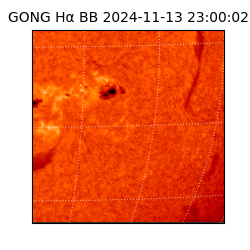 gong - 2024-11-13T23:00:02