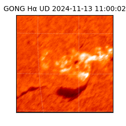 gong - 2024-11-13T11:00:02