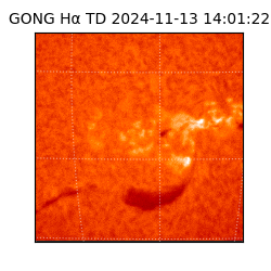 gong - 2024-11-13T14:01:22