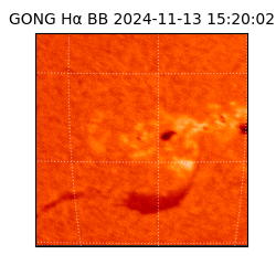 gong - 2024-11-13T15:20:02