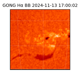 gong - 2024-11-13T17:00:02