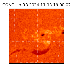 gong - 2024-11-13T19:00:02