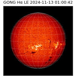 gong - 2024-11-13T01:00:42
