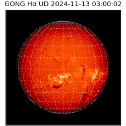 gong - 2024-11-13T03:00:02