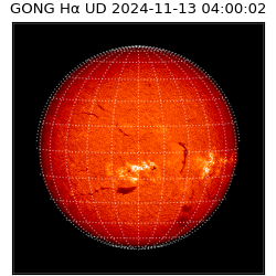 gong - 2024-11-13T04:00:02