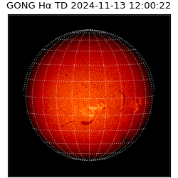 gong - 2024-11-13T12:00:22