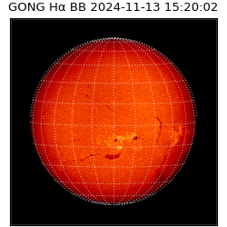 gong - 2024-11-13T15:20:02