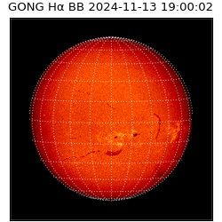 gong - 2024-11-13T19:00:02
