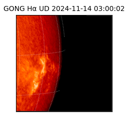 gong - 2024-11-14T03:00:02