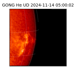 gong - 2024-11-14T05:00:02