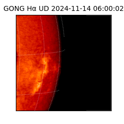 gong - 2024-11-14T06:00:02