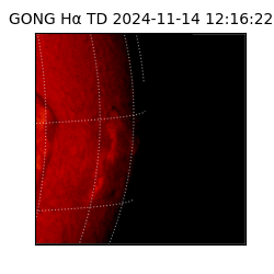 gong - 2024-11-14T12:16:22