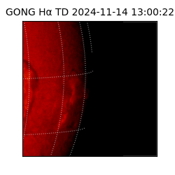 gong - 2024-11-14T13:00:22