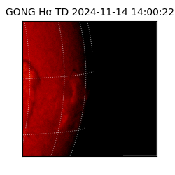 gong - 2024-11-14T14:00:22