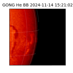 gong - 2024-11-14T15:21:02