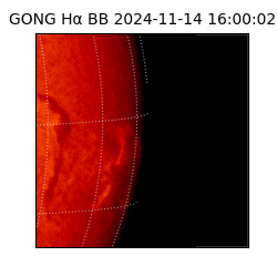 gong - 2024-11-14T16:00:02