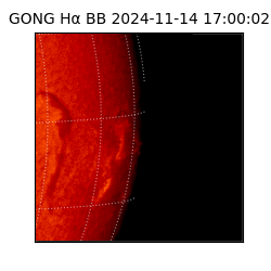 gong - 2024-11-14T17:00:02