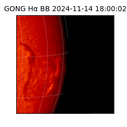 gong - 2024-11-14T18:00:02