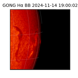 gong - 2024-11-14T19:00:02