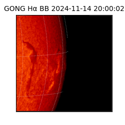 gong - 2024-11-14T20:00:02
