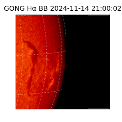 gong - 2024-11-14T21:00:02