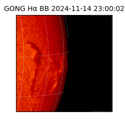 gong - 2024-11-14T23:00:02