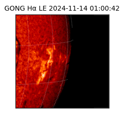 gong - 2024-11-14T01:00:42