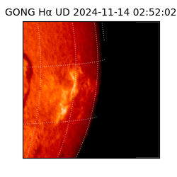 gong - 2024-11-14T02:52:02