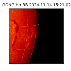 gong - 2024-11-14T15:21:02