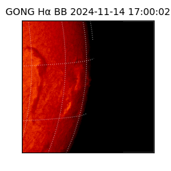 gong - 2024-11-14T17:00:02