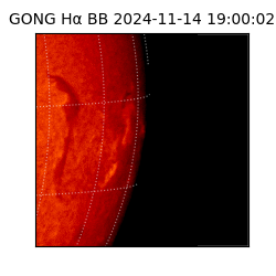 gong - 2024-11-14T19:00:02
