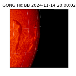 gong - 2024-11-14T20:00:02