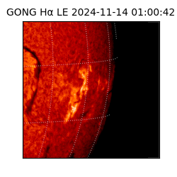 gong - 2024-11-14T01:00:42