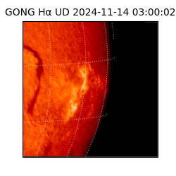 gong - 2024-11-14T03:00:02