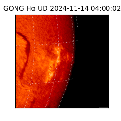 gong - 2024-11-14T04:00:02