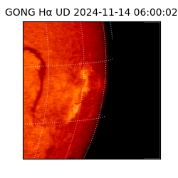 gong - 2024-11-14T06:00:02