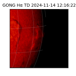 gong - 2024-11-14T12:16:22