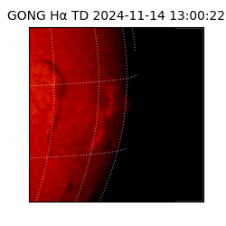 gong - 2024-11-14T13:00:22