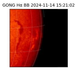 gong - 2024-11-14T15:21:02